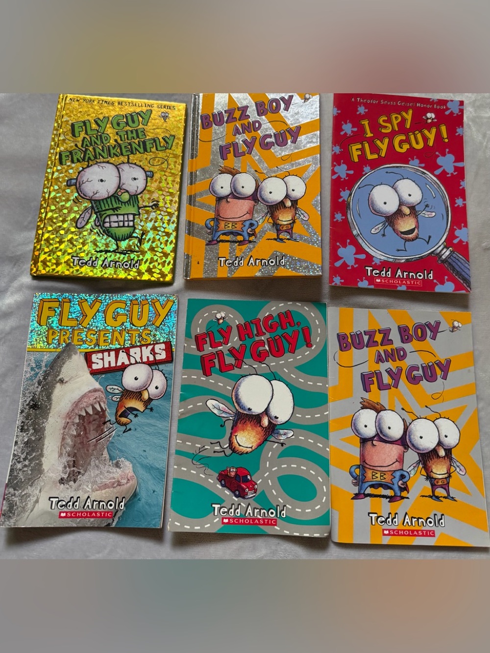 Scholastic Fly Guy Book Set by Author Ted Arnold